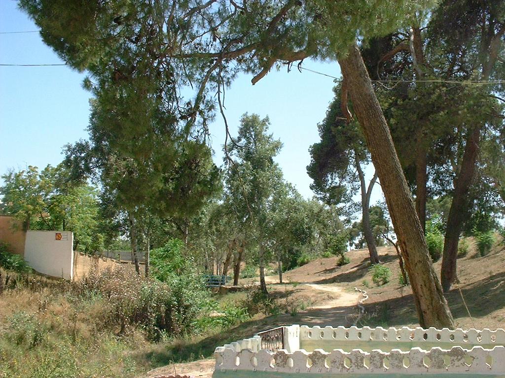 LE TELAGH Le Bosquet 01.jpg